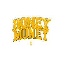 Honey Money Imarticus Placement Review