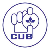 City Union Bank Imarticus Placement Review