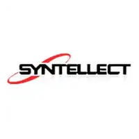Syntellect Imarticus Placement Review