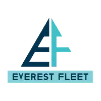 Everest Fleet Imarticus Placement Review