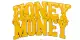 Honey Money Imarticus Placement Review
