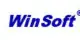 Winsoft Imarticus Placement Review