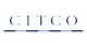CITCO Imarticus Placement Review