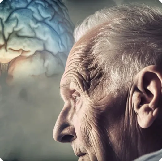 Alzheimer's Prediction System