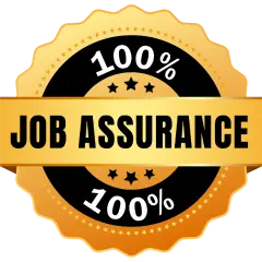 100% Job Assurance