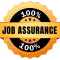 100% Job Assurance