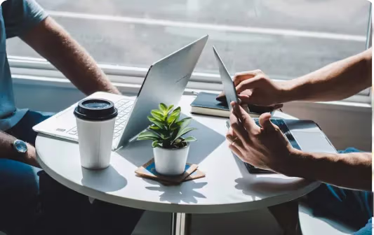 Consultants & Strategy Professionals