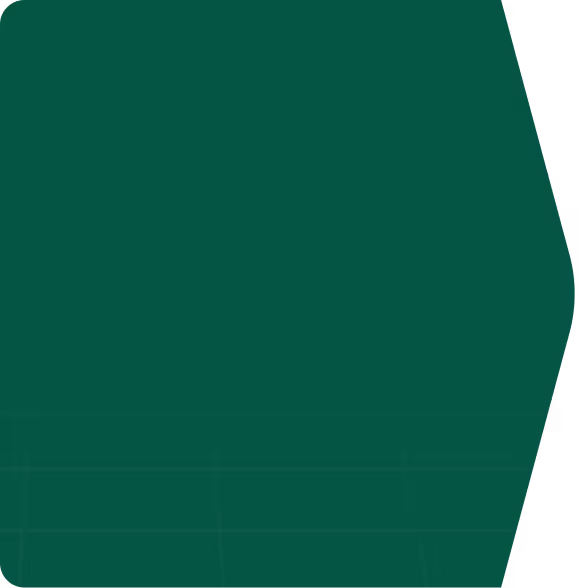 bg-image
