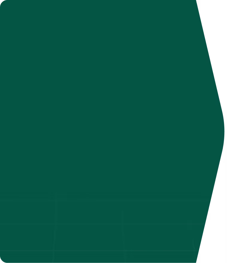bg-image