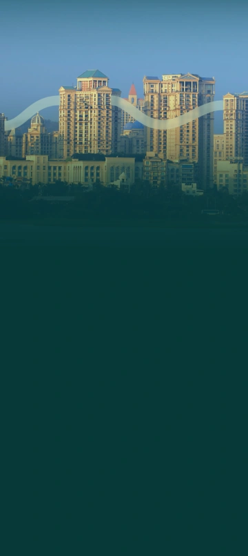 bg-image