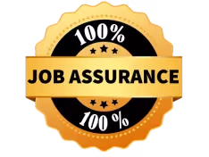 100% Job Assurance