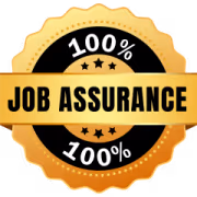 100% Job Assurance